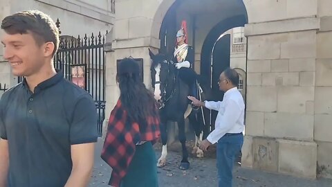 Touching the Reins #horseguardsparade
