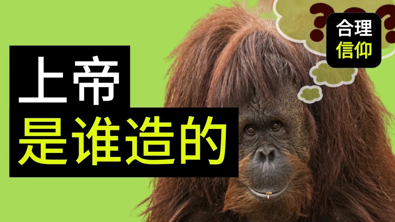 【大鸟合理的信仰 #2】 上帝 是谁造的? 信仰问题Q&A