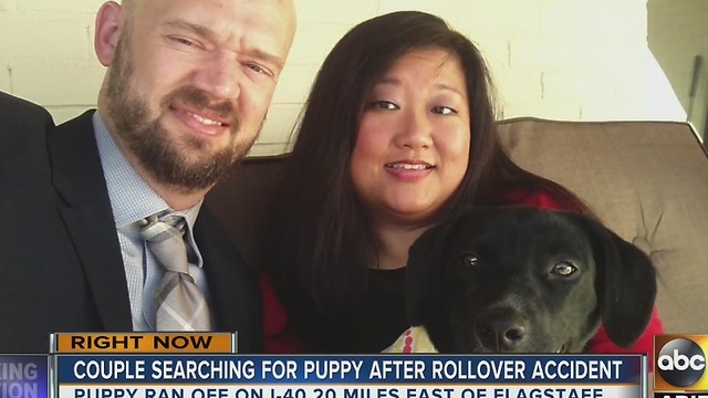 Couple searching for puppy after rollover crash