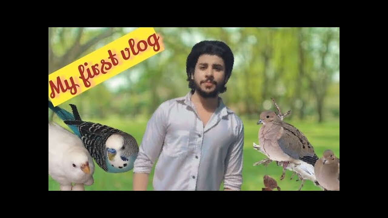 MY frist vlog | pet 🐕🐶 vlog