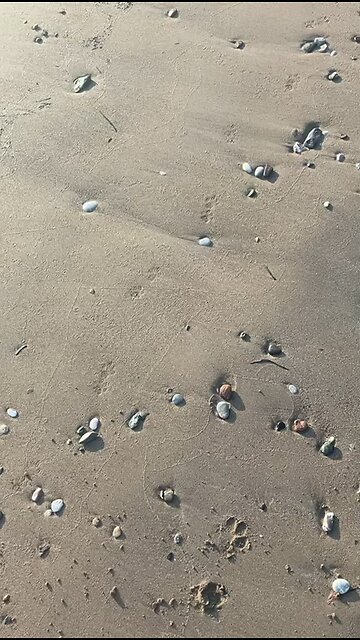 הפסקה קצרה.. שבת שלום ומבורך! 🙏 סופ״ש נעים לכולם! ❤️