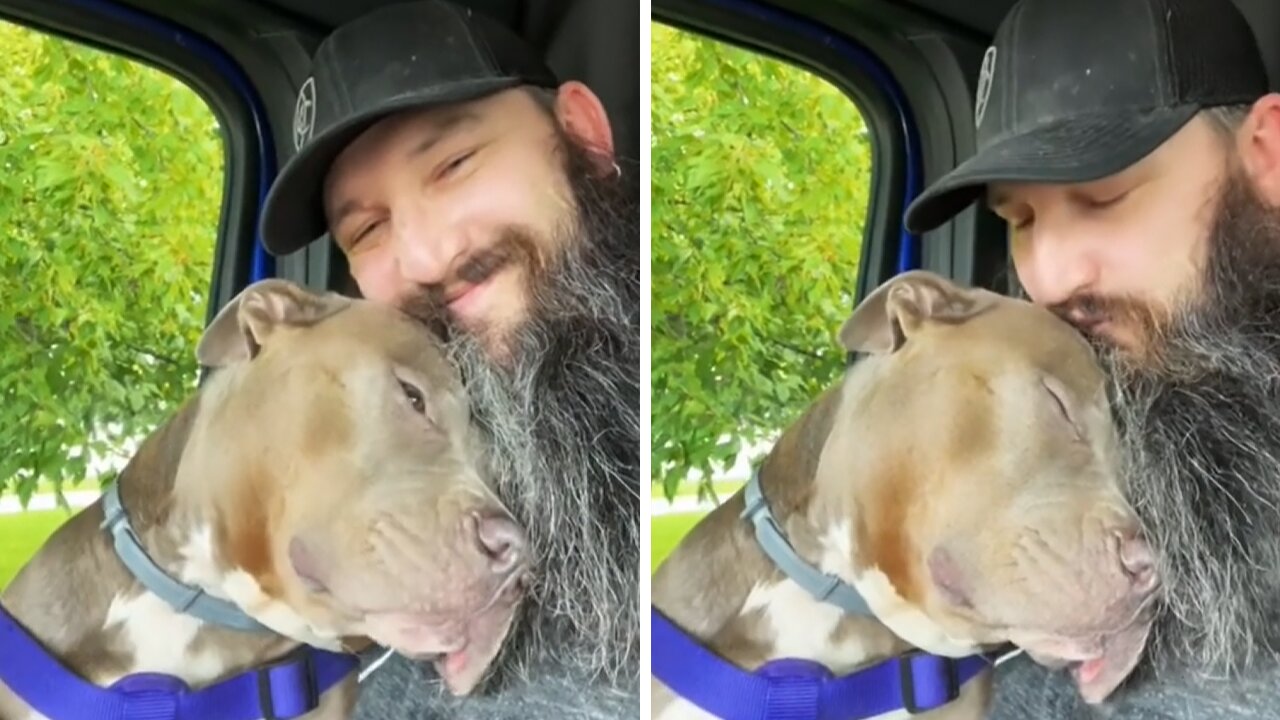 Adorable Pup Shows Love To Owner With Cuddles