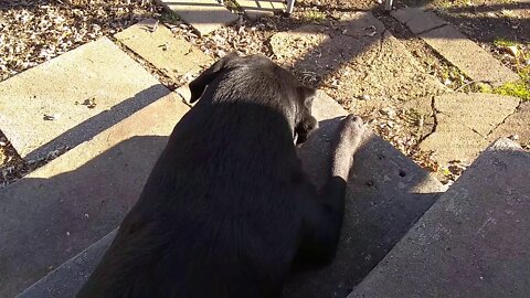 Max on 11.12.2020