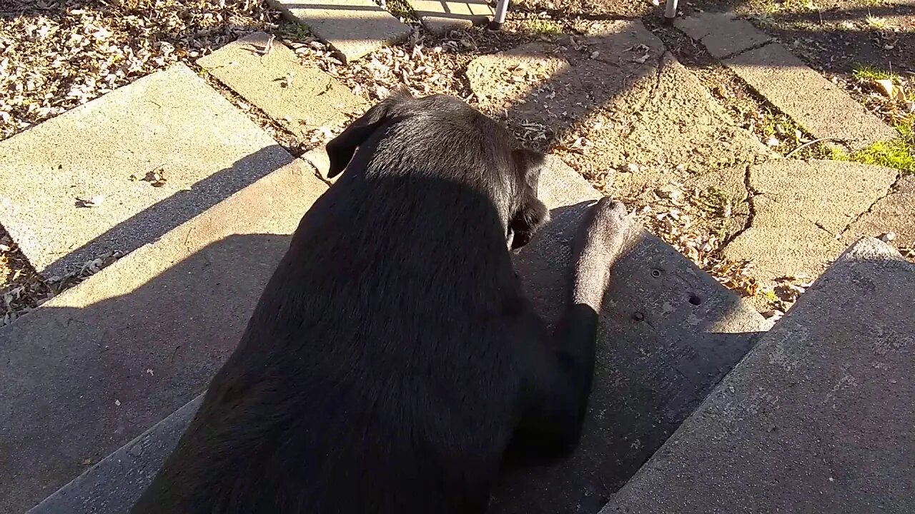 Max on 11.12.2020