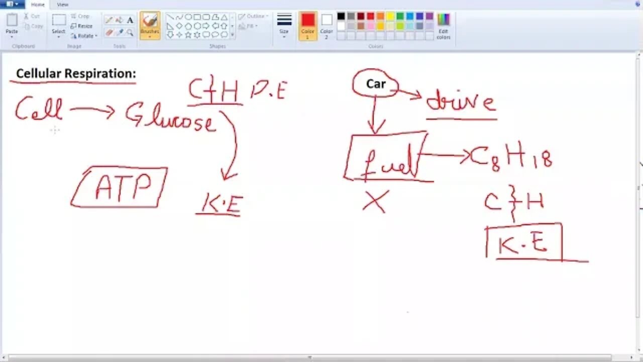 9th Class Bio Cellular , Aerobic Respiration