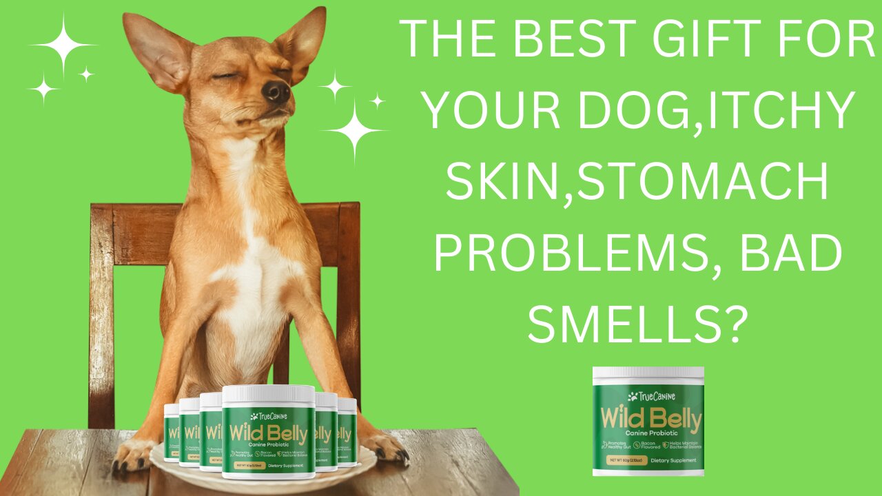 THE BEST GIFT FOR YOUR DOG,ITCHY SKIN,STOMACH PROBLEMS,BAD SMELLS?