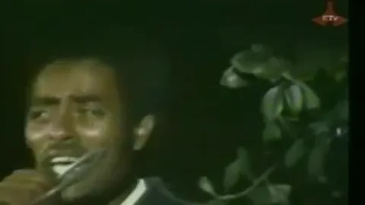 Abitew Kebede - Yaani Koo | Afan Oromo Oldies| Ethiopian Music
