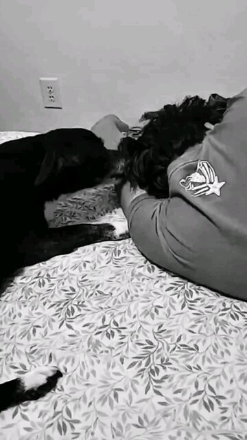 🐾 When your senior pup takes on the role of big sister! 🧼👧