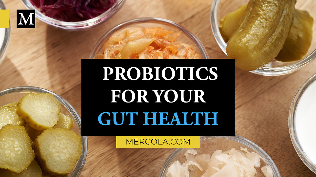 Dr. Mercola: Probiotics for Your Gut Health