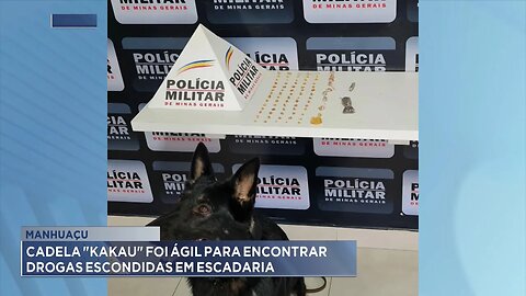 Manhuaçu: Cadela Kakau foi Ágil para Encontrar Drogas Escondidas em Escadaria.