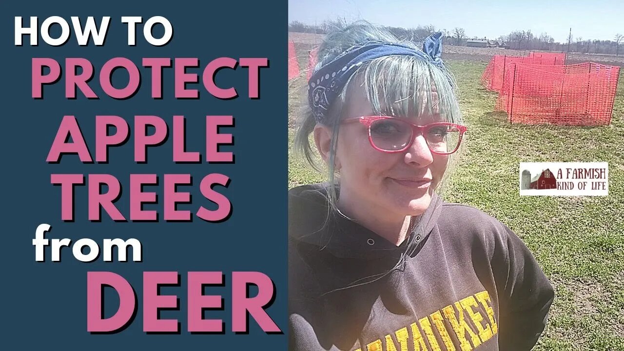 How to Protect Apple Trees from Deer | HUMOR |