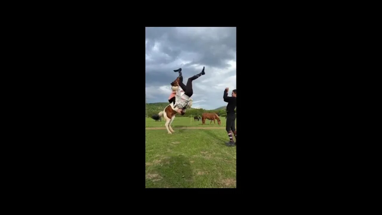 Horse majestically jumps simultaneously with girl's backflip