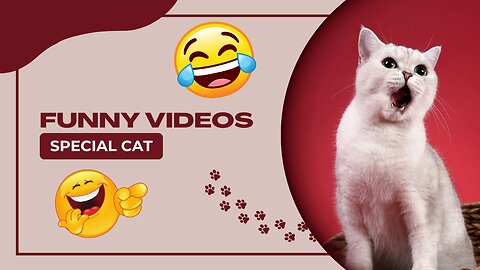 Try not to laugh - Cute funny animal videos 2023