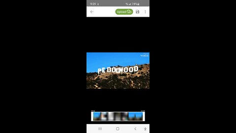 HOLLYWEIRD PEDOWOOD