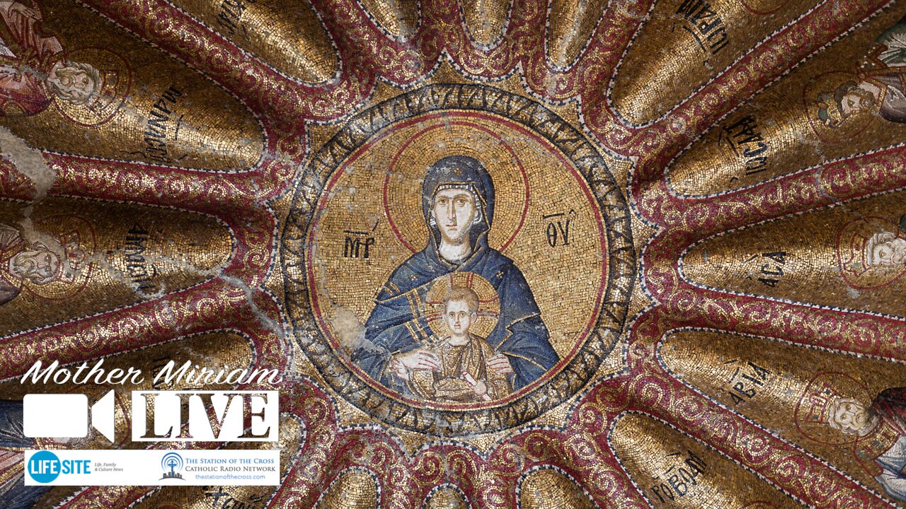Mary is the Mother of Jesus Christ, and the Mother of God