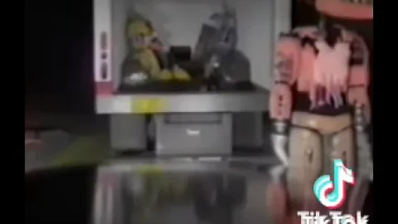 The Shootout