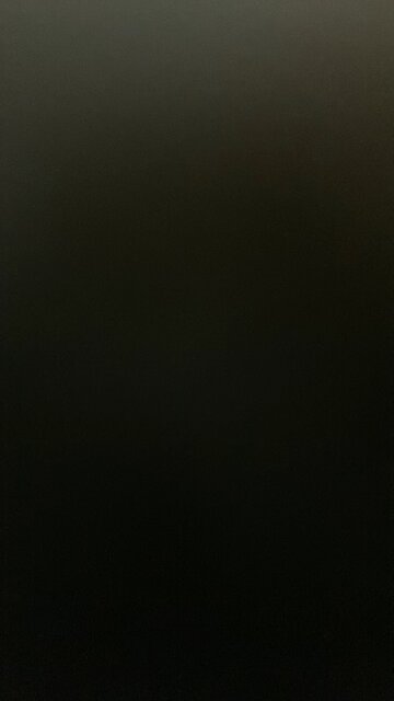 Prenuptial agreement