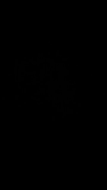 Total gun ban in US?