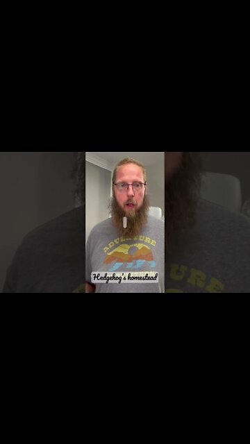 Krispy Kreme￼ copycat donuts #hedgehogshomestead