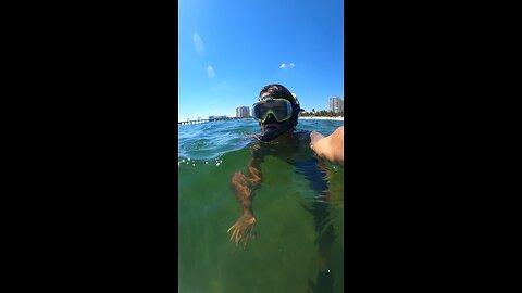 First dive after the Hurricane #ocean #florida