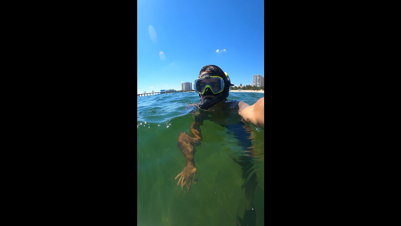 First dive after the Hurricane #ocean #florida