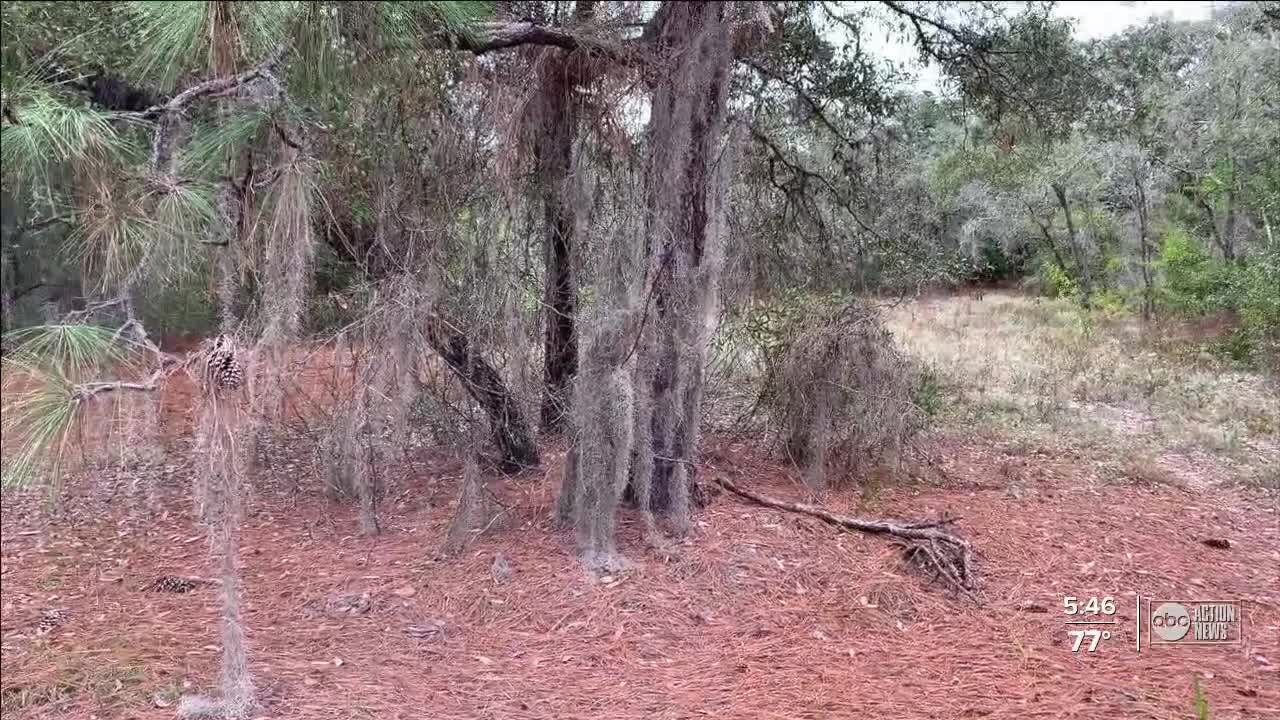 Group hoping to preserve Tarpon Springs forest makes renewed plea for donations