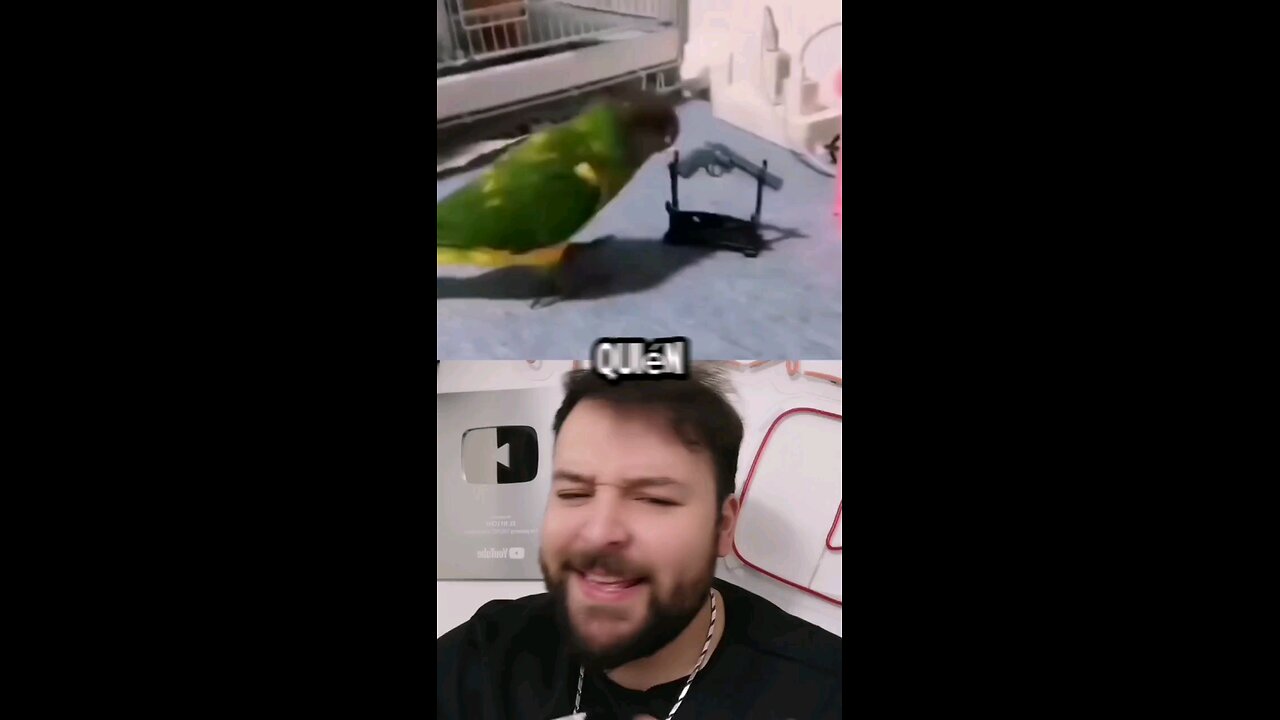 Este perico es un excelente actor 🤭