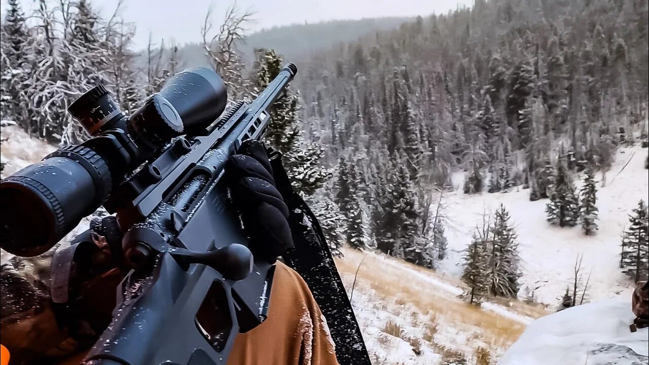 Montana Hunt Day 2