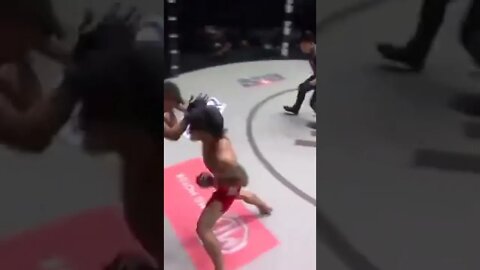 NEVER Seen A Fighter