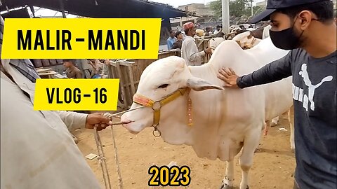 MALIR MANDI | PART (2) | 2023 | VLOG 16 | BACKBENCHERS