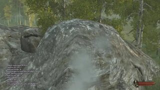 Mount & Blade II: Bannerlord Mods TikTok Gaming PC Clips 2022 134K Followers 3.4M Likes 100M Views