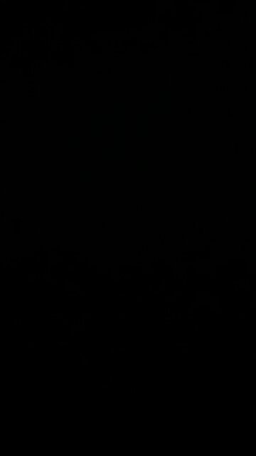 Tony Hawk’s Pro skater