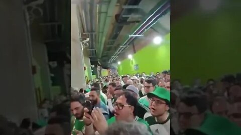 Torcida do Palmeiras xingando Bolsonaro no Allianz Parque - 22/10/2022