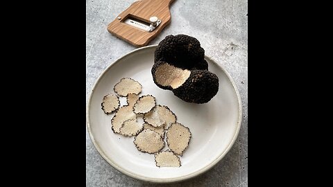 What makes truffles the world's priciest food?