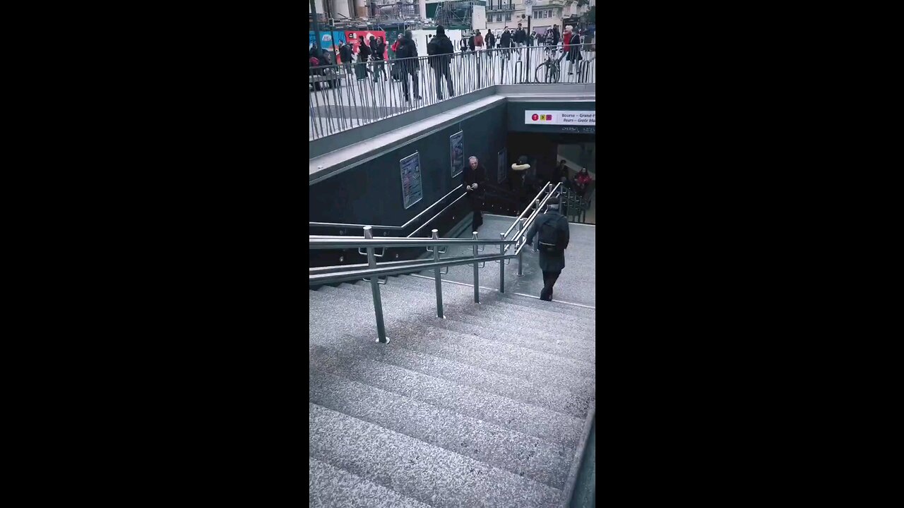 Cute puppy playing themselve in the stairs in Europe mall