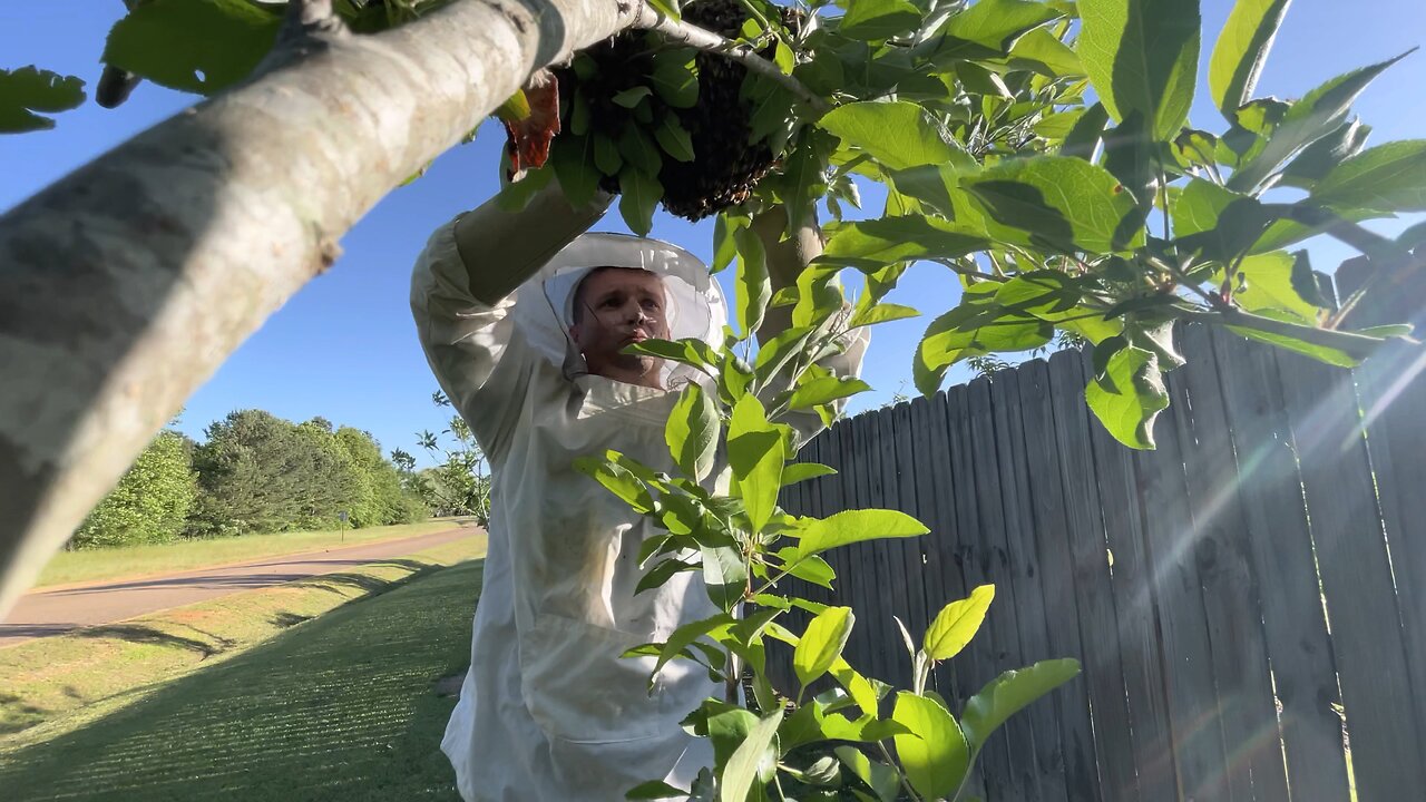 Honeybee fishing