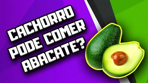 Cachorro pode comer Abacate? | Dr. Edgard Gomes | Alimentação natural para Cães