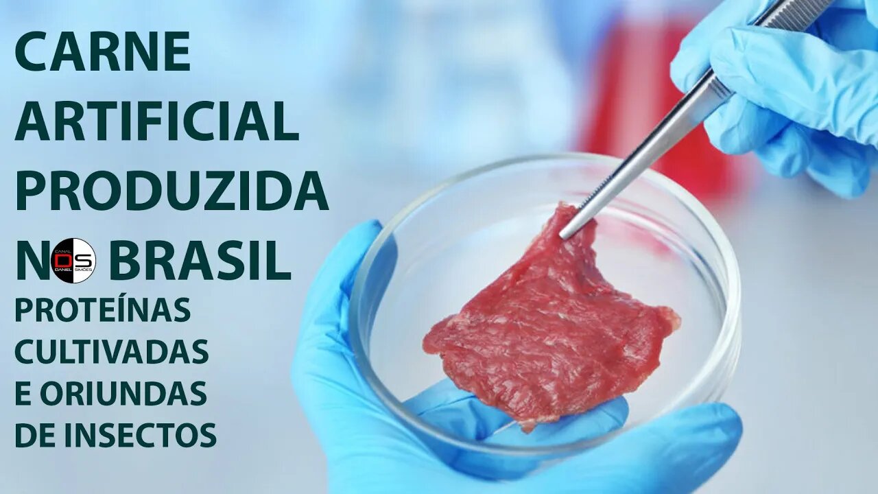 Carne artificial produzida no Brasil - Proteínas cultivadas e oriundas de insectos