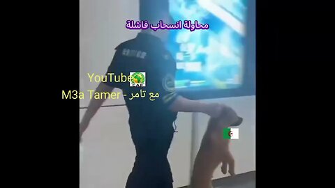 "جـ.ـرو افريـ.ـقيا هـ.ـربـ.ـان" 🇩🇿🤣🤣 الحب والتقدير والاحترام لسي لقجع 🇲🇦♥️