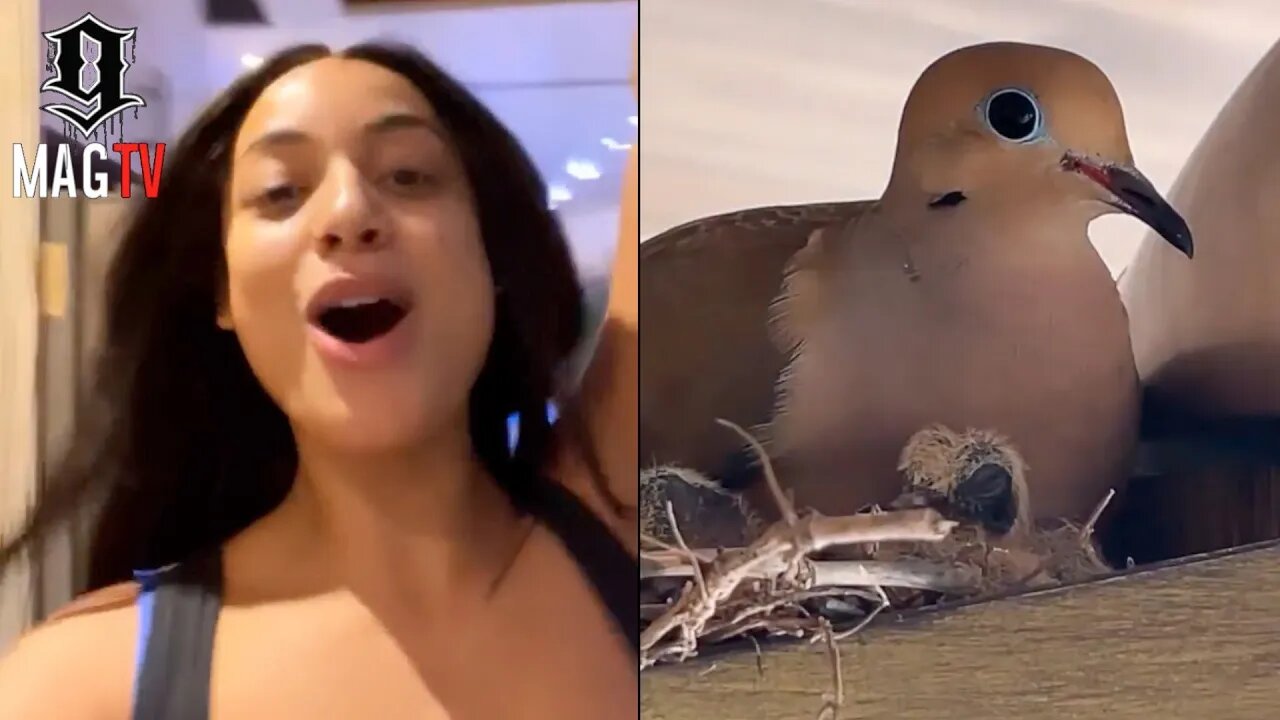 DaniLeigh Discovers Bird Family Living At Her New House! 🦆