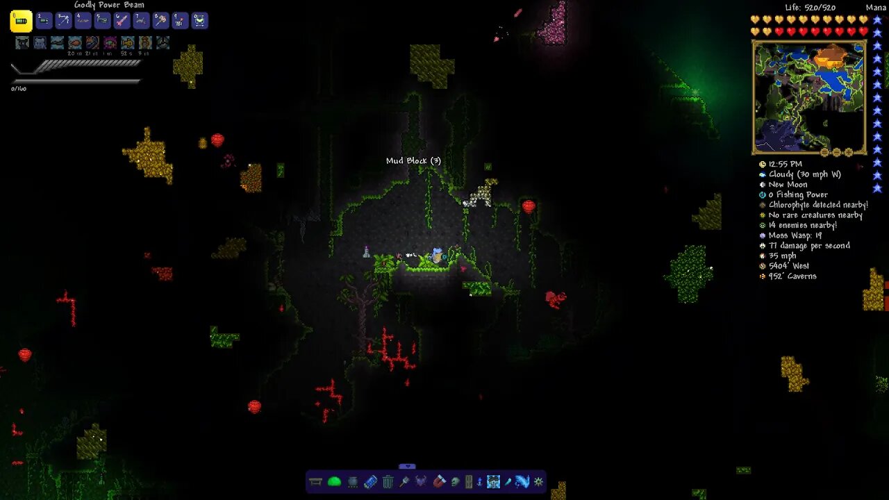 Terraria Modded Mayham 6