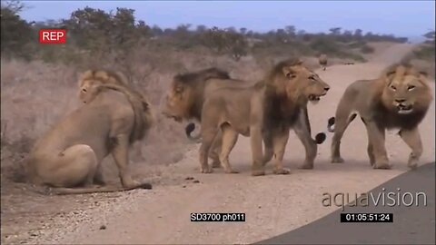 BATTLE AT KRUGER