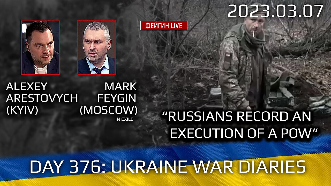 War Day 376: with Former Advisor to Ukraine President, Lt.Colonel Alexey Arestovych & #Feygin