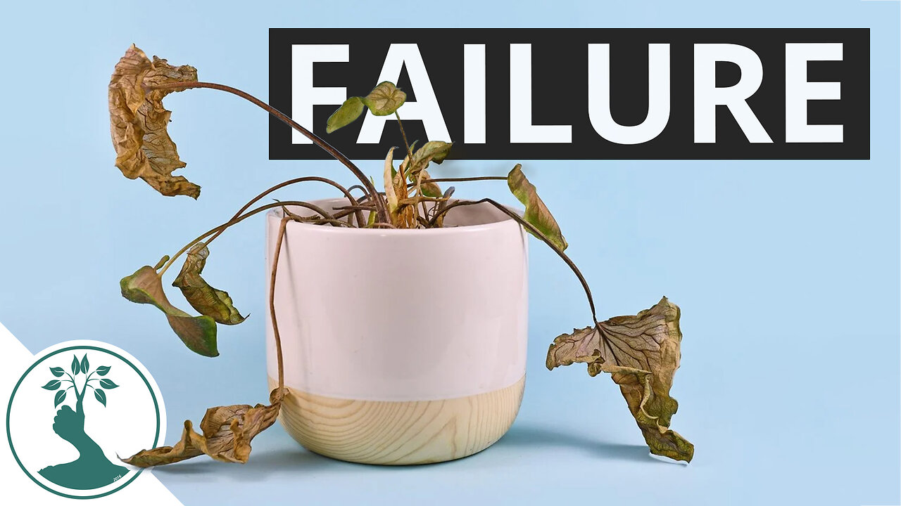 Dealing With Plant Failure