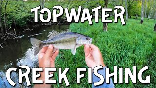 Topwater Ohio bass fishing