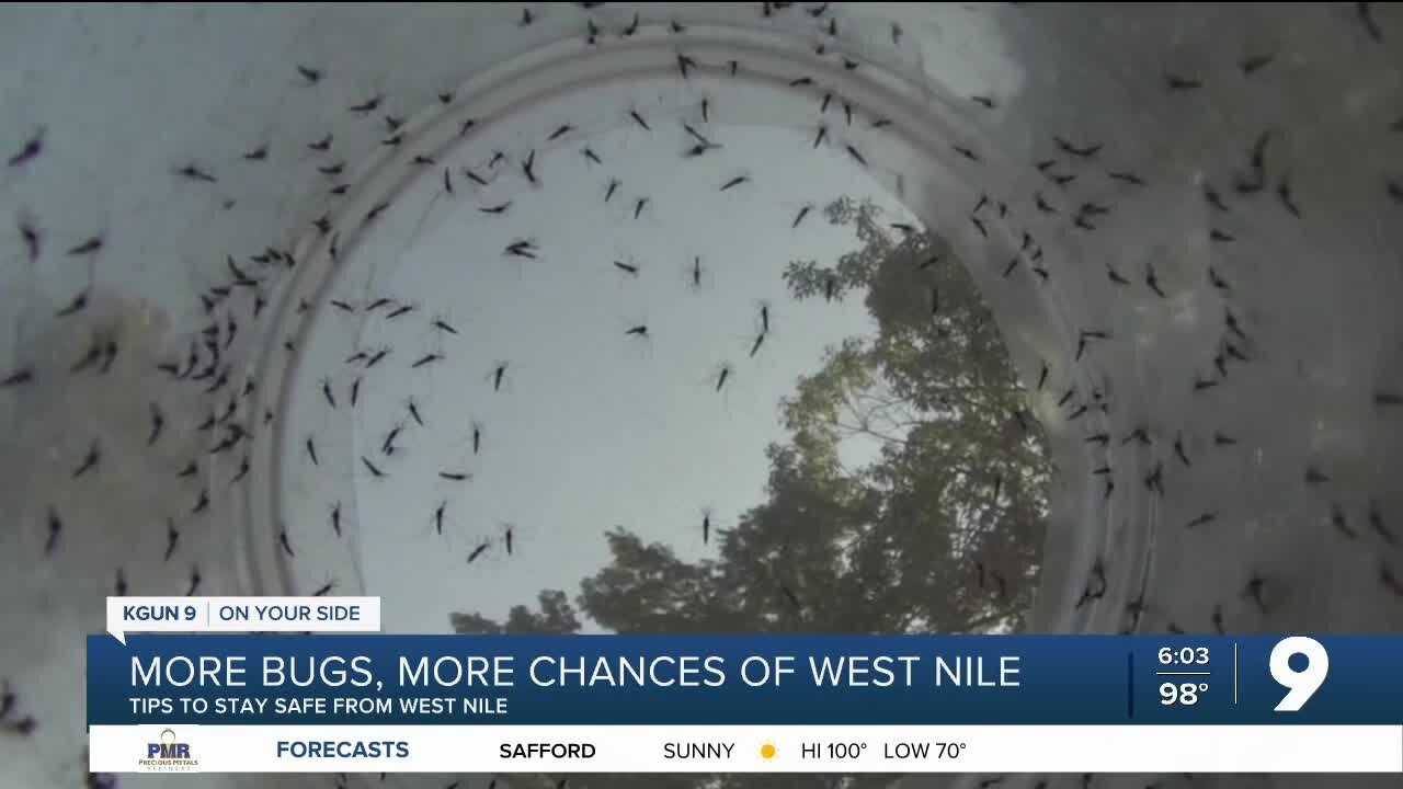 West Nile virus among concerns with increased mosquito population