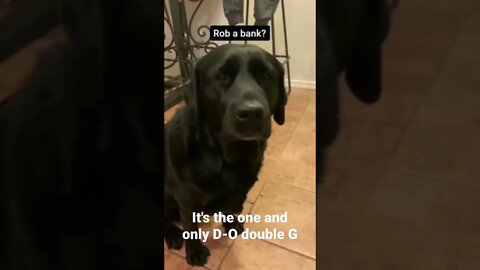 MEME is the one and only D-O double G #shorts