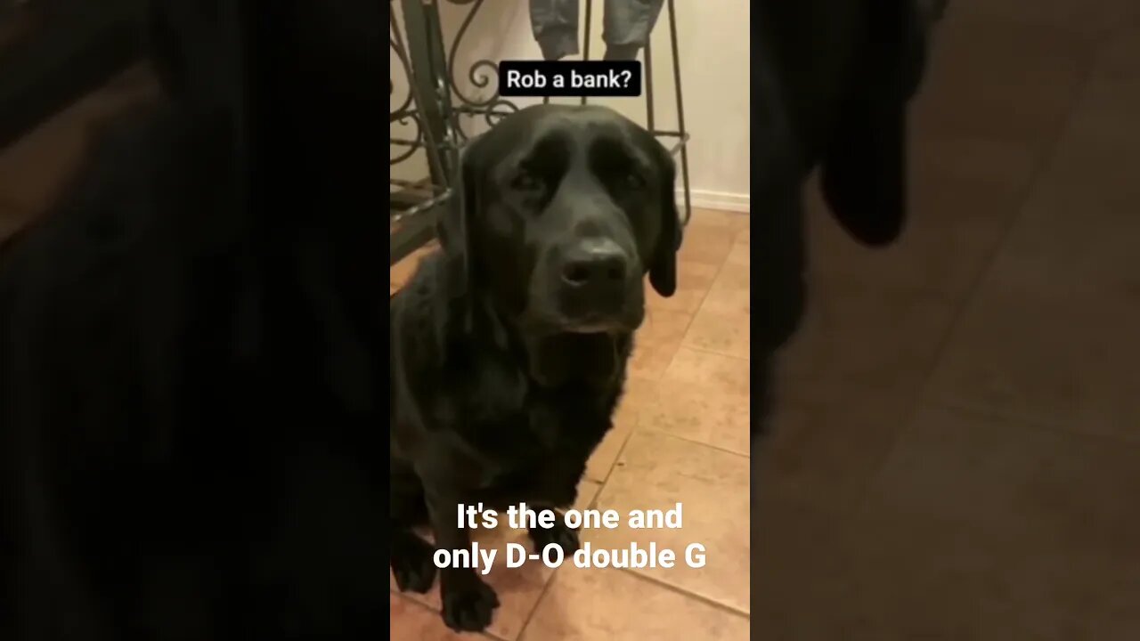 MEME is the one and only D-O double G #shorts