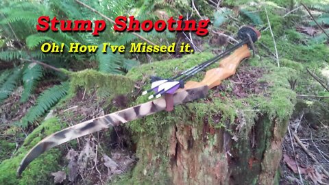 Stump Shooting with the Recurve Bow. I miss it!