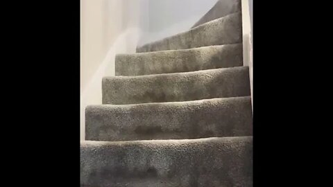 Wife Plays Prank On Husband "I Didn't Want Them To Take A Fence"